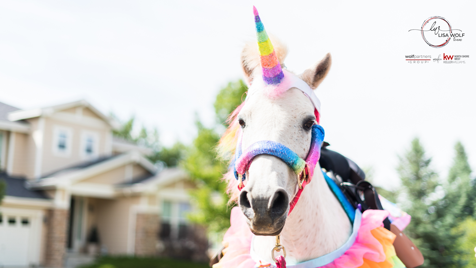 Today’s Real Estate Market: The ‘Unicorns’ Have Galloped Off - Lisa ...